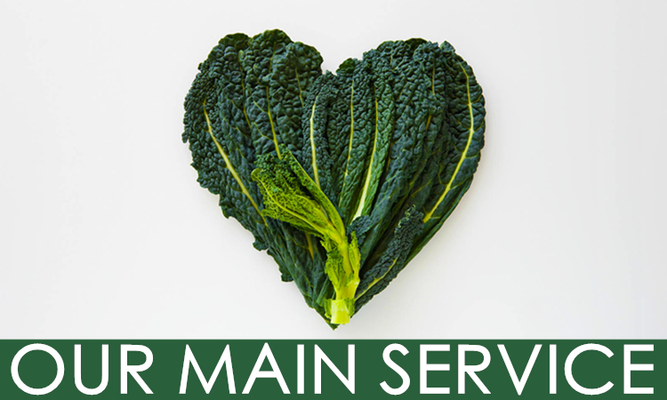 我们的主要服务